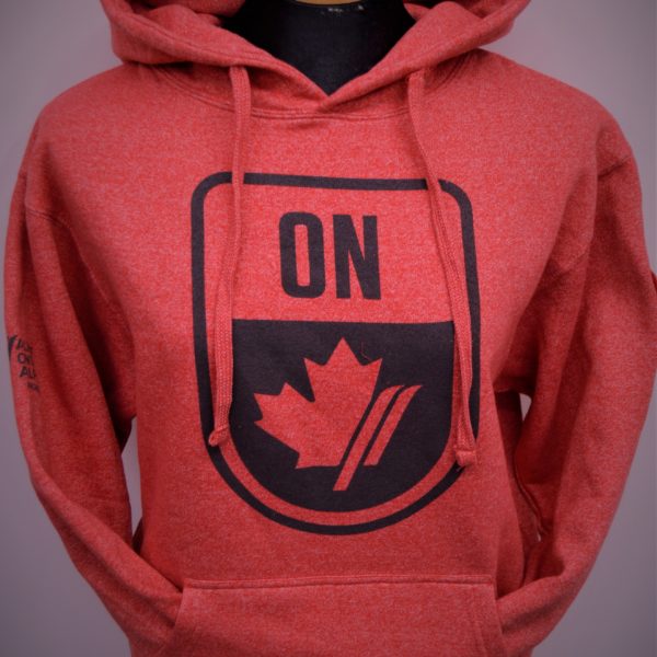 AOA Hoodie (Adult)