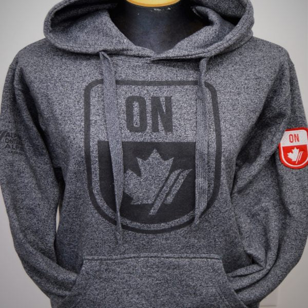 AOA Hoodie (Adult) - XS DK Grey ONLY